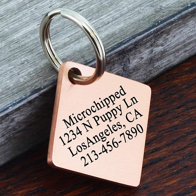Ultra Joys Stainless Steel Pet ID Tag Dog Name Tags Personalized Front and Back - Image 3