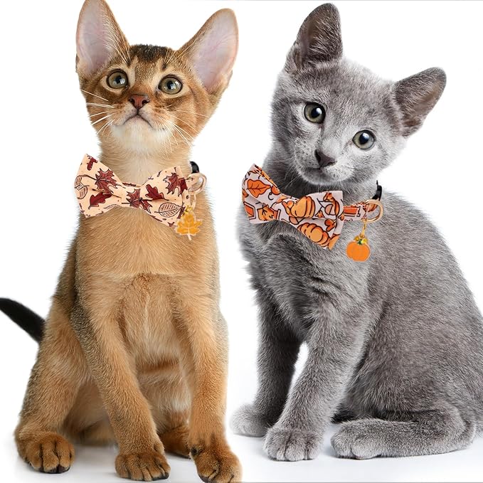 Faygarsle 2 Pack Breakaway Fall Cat Collars - Image 6