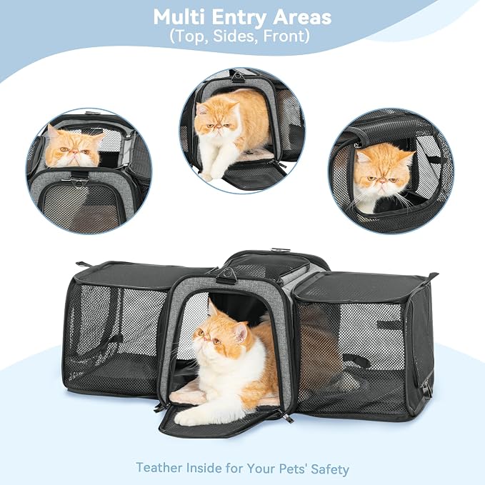 Petsfit 17" x 11" x 11" Airline-Approved Expandable Pet Carrier, 2X Square - Image 8