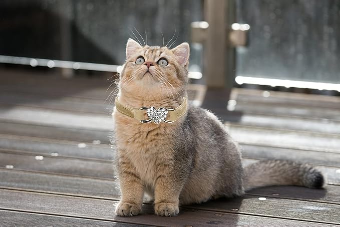 Heart Bling Cat Collar with Safety Belt and Bell Adjustable 8-10 inches - Image 5