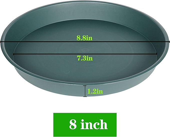 2 Pack of 8 inch Plant Saucer Clear, Heavy Duty Plastic Plant Water Tray 8 inch - Image 2