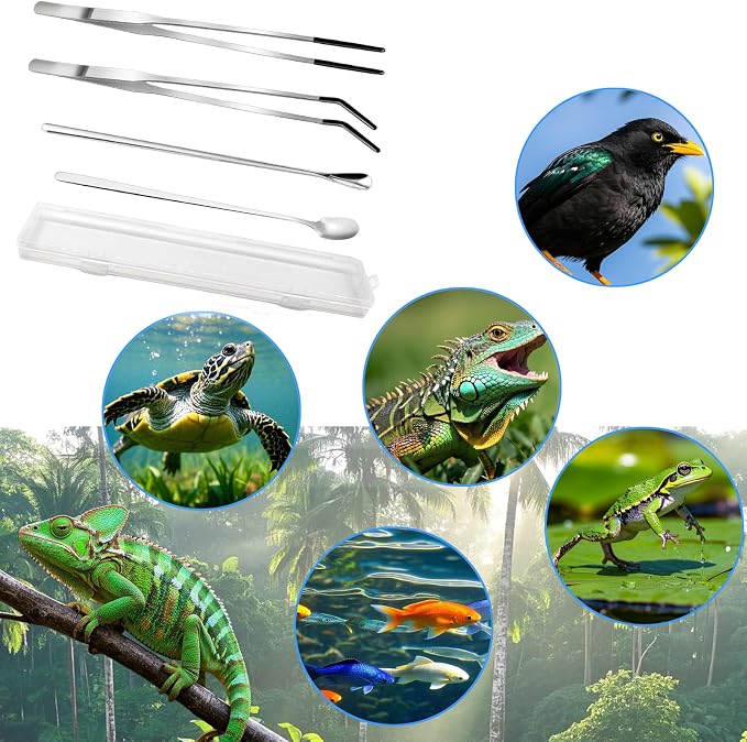 4-Piece Stainless Steel Reptile Feeding Tongs & Spoons Set – Curved/Straight - Image 7