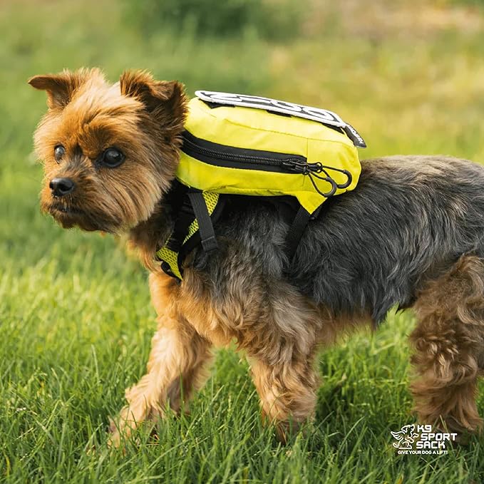 K9 Sport Sack Walk-On - Image 6