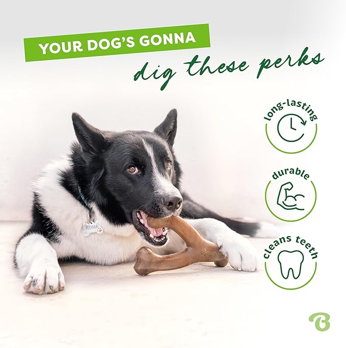 Benebone Wishbone Durable Dog Chew Toy - Image 3