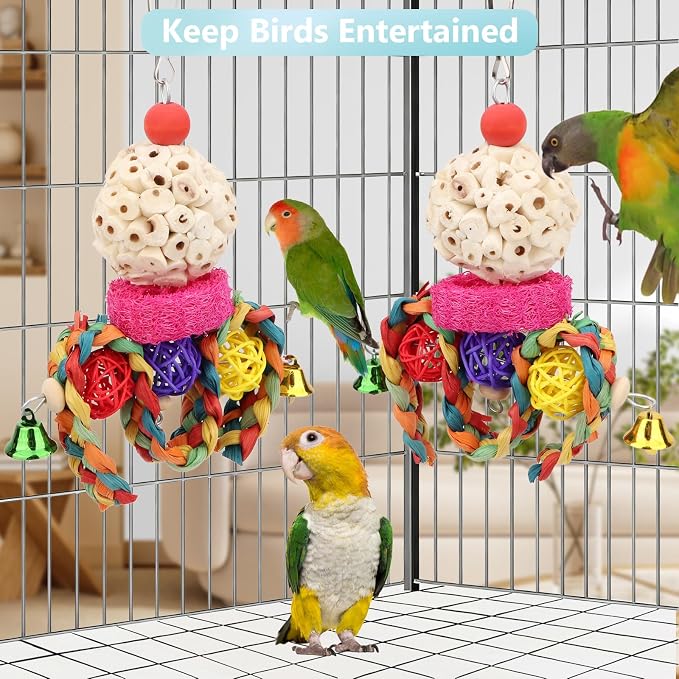 Wontee Bird Toys 3 Pack Parrot Foraging Hanging Toys Sola Ball Natural Nuts - Image 4