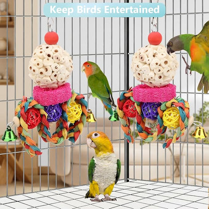 Wontee Bird Toys 3 Pack Parrot Foraging Hanging Toys Sola Ball Natural Nuts - Image 4