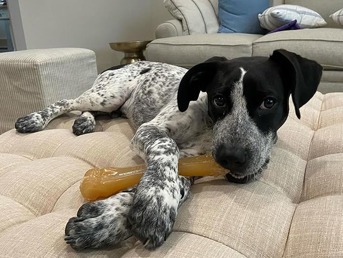 Nylabone Original Knuckle Bone Flexi Chew Toy - Image 4