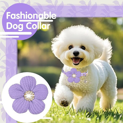 Medium Dog Collar with Flower, Dog Collars - Image 3