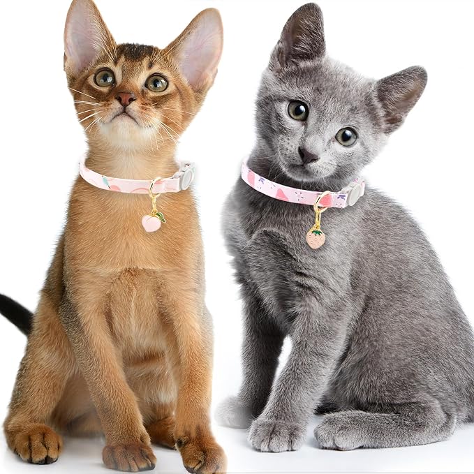 Faygarsle 2 Pack Breakaway Cat Collar - Image 6