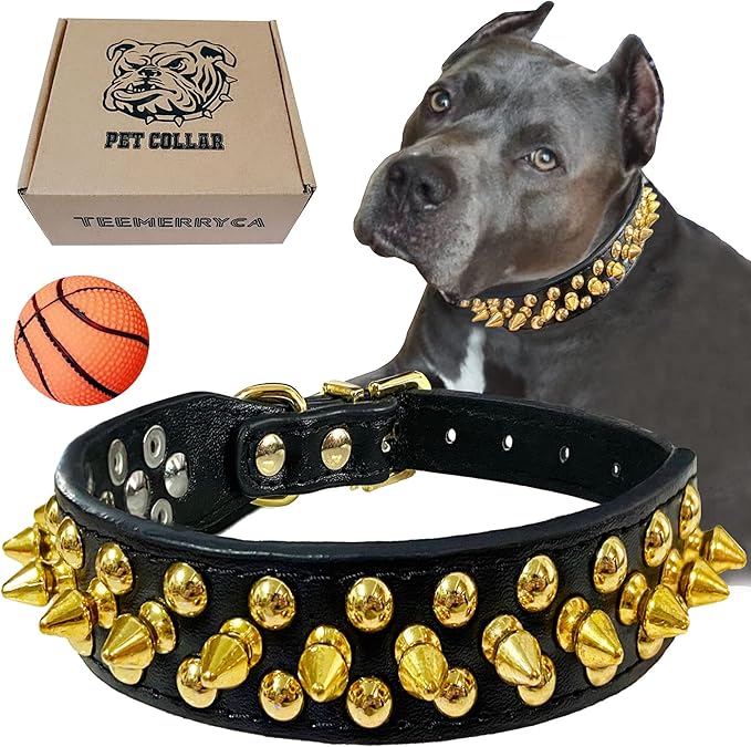 TEEMERRYCA Black Leather Dog Collar by TEEMERRYCA