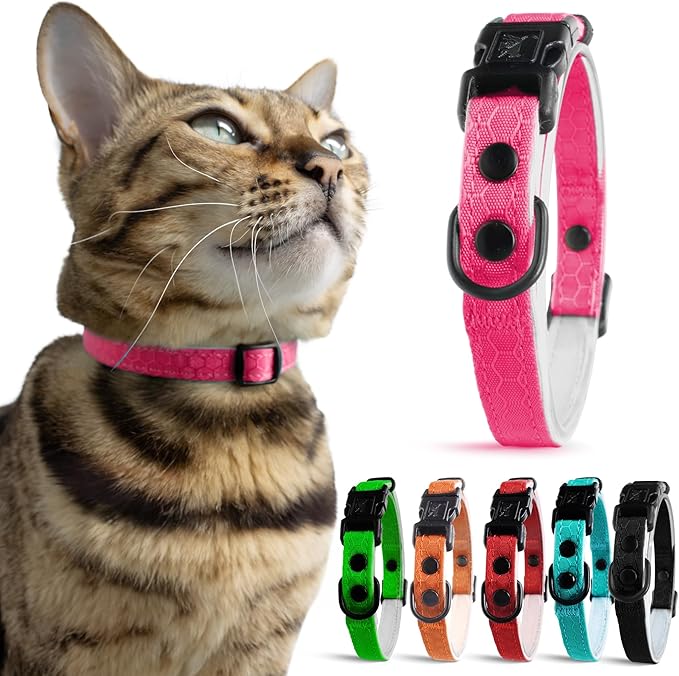 OutdoorBengal Pink Breakaway Kitten Collar by OutdoorBengal