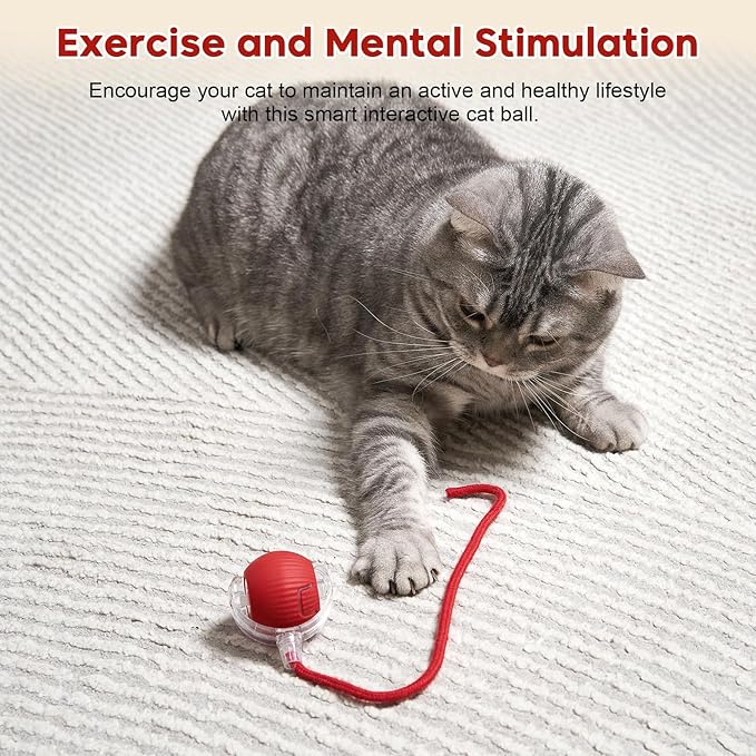 Interactive Dog & Cat Electric Active Toys, Smart Rolling Ball - Image 8