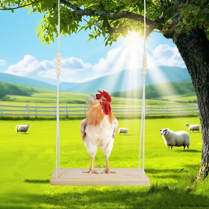 Chicken Swing, Easy Install Chicken Perch, Fun Poultry Toys - Image 5