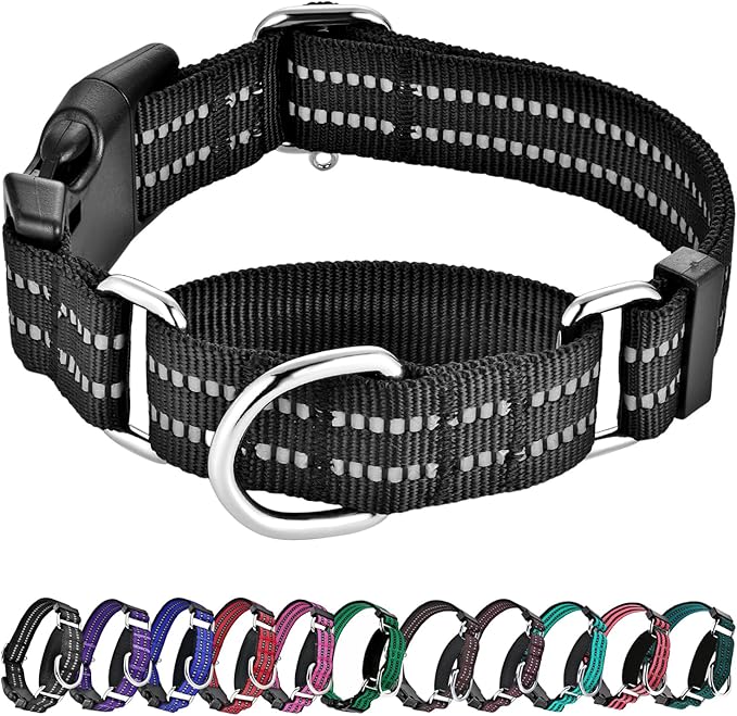 Hikiko Martingale Collar for Dogs Reflective Nylon Dog Collar by Hikiko