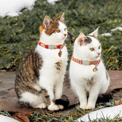 ARING PET 2 Pack Cat Collars, Breakaway Cotton Fall Halloween Kitten Collar - Image 3