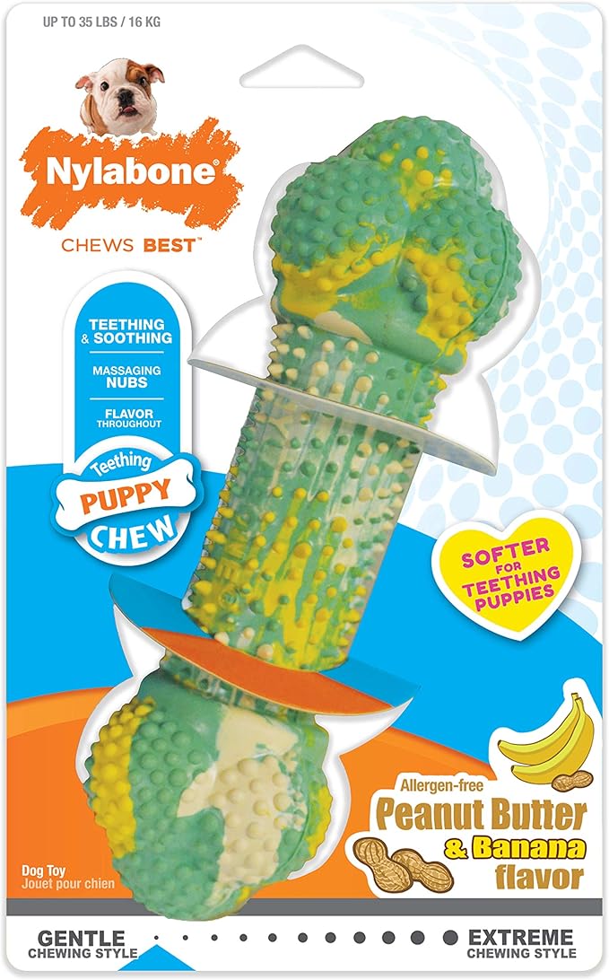 Nylabone Flavor Frenzy Barbell Puppy Chew Toy, Rubber Toys - Image 8
