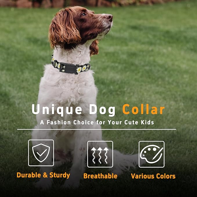 Dog Collar, Daisy Boys Girls Puppy Collar - Image 5