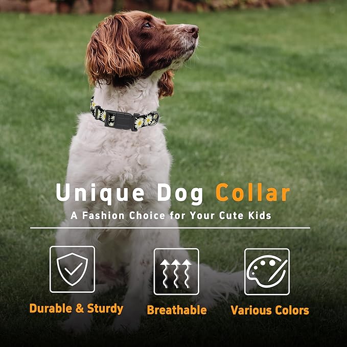 Dog Collar, Daisy Boys Girls Puppy Collar - Image 5