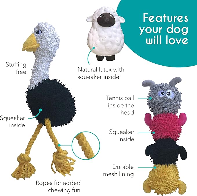 rocket & rex Dog Chew Toy Set for Small to Medium Breeds, Includes a Rope Toy - Image 3