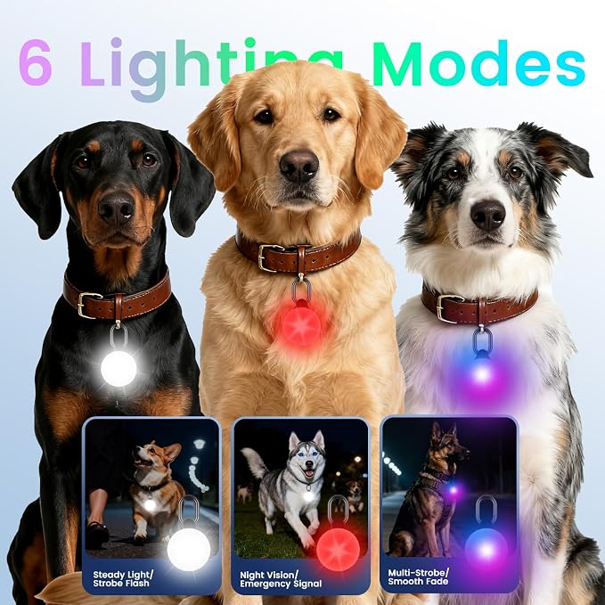 2-in-1 GPS Tracker & Dog Light - Image 3