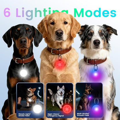 2-in-1 GPS Tracker & Dog Light - Image 3