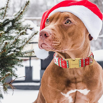 Unique style paws Christmas Dog Collar Metal Buckle Christmas Tree Puppy Collar - Image 3