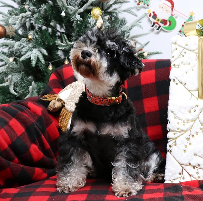 Unique style paws Dog Collar Metal Buckle Puppy Collar - Image 5