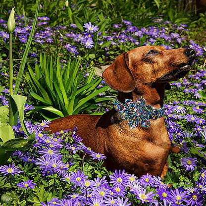 Lionheart glory Dog Collar Darkblue Flower Dog Bow Collars Floral Dog Collar - Image 4