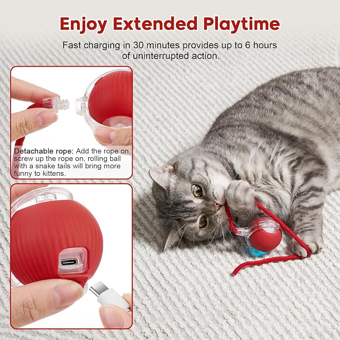 Interactive Dog & Cat Electric Active Toys, Smart Rolling Ball - Image 5