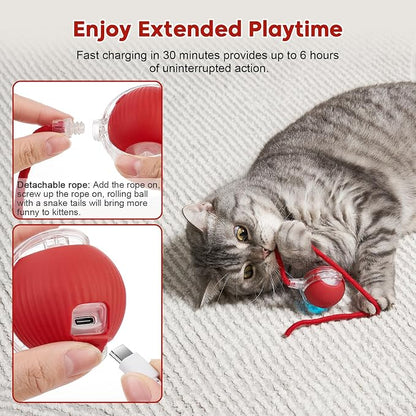 Interactive Dog & Cat Electric Active Toys, Smart Rolling Ball - Image 5