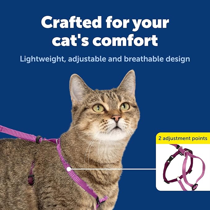 PetSafe Come With Me Kitty Cat Harness & Bungee Leash - Image 4