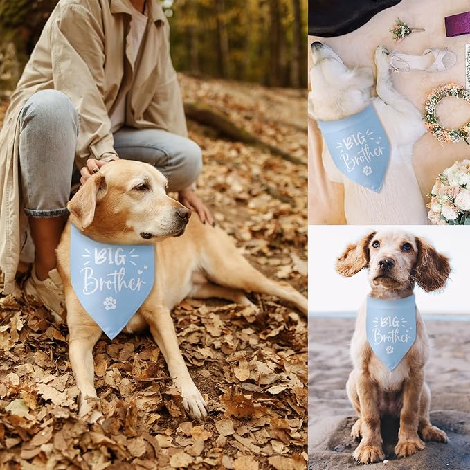Big Brother Dog Bandana Pregnancy Announcement Gender Reveal Baby Announcement - Image 4