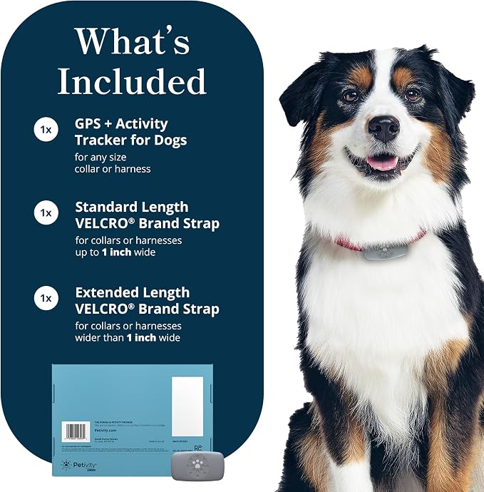 Petivity Smart GPS and Activity Pet Tracker - Image 9