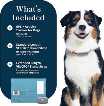 Petivity Smart GPS and Activity Pet Tracker - Image 9