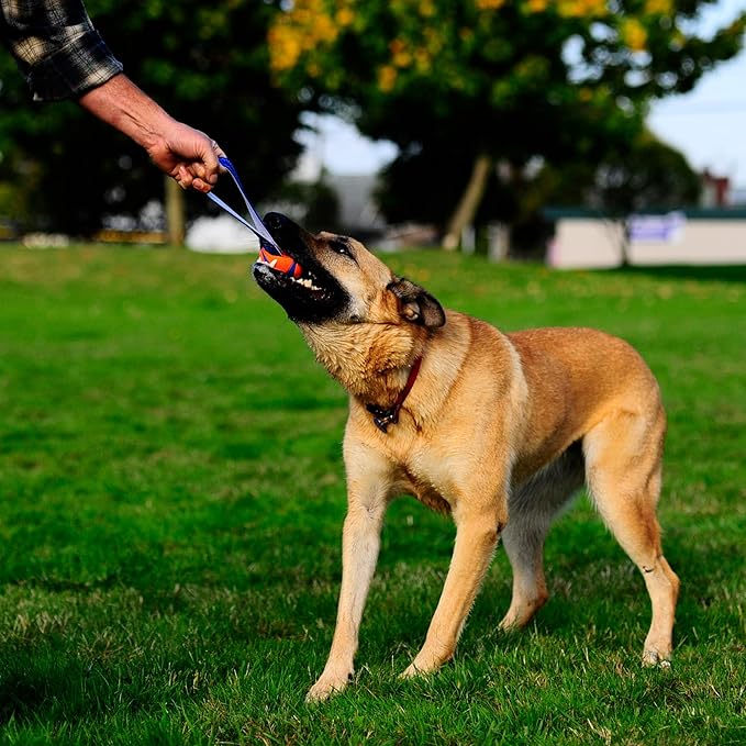 Chuckit! Ultra Tug Dog Toy - Image 2