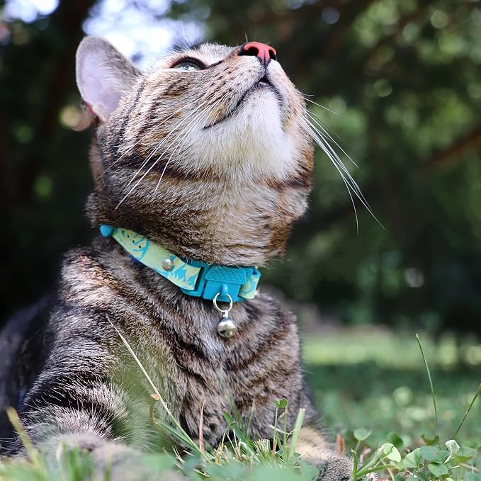 Kittyrama Botanicals Jungle Kitten Collar. Award Winning. Hypoallergenic - Image 4