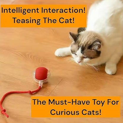 Interactive Electric Automatic Rolling Moving Rechargeable Self Play - Image 4