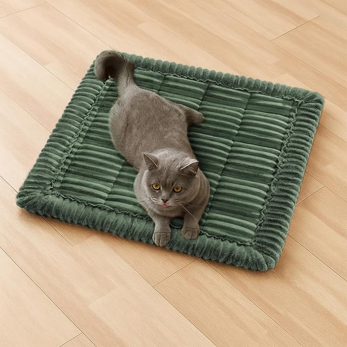 FUNNY FUZZY Pet Couch Covers for Sofa, Washable Dog Couch Cover Protector for by FUNNYFUZZY