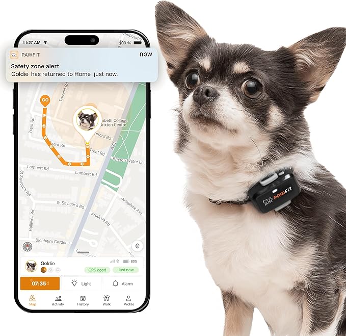 Pawfit Lite for Small Dogs 4g GPS Tracker | Real Time Tracking | Activity by Pawfit