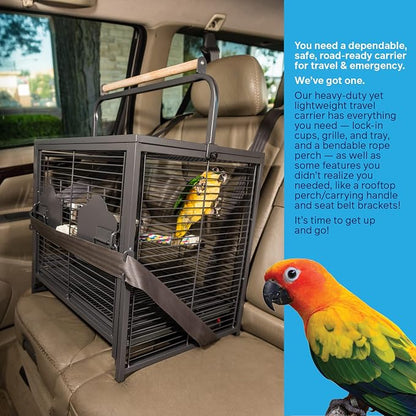Prevue Pet Products Playtop Travel Carrier - Image 8