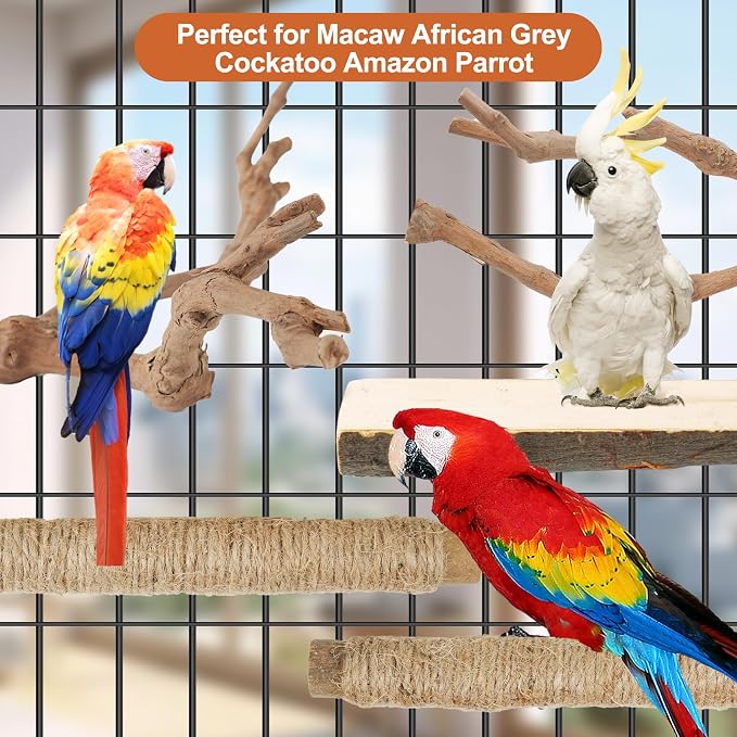 Bird Perch Stand, Pole Standing Natural Wood Bird Perch Set 5PCS Paw Grinding - Image 8