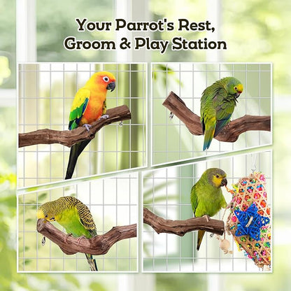 Bird Toys, Parakeet Foraging Toys, Hanging Chewing Toys - Image 4