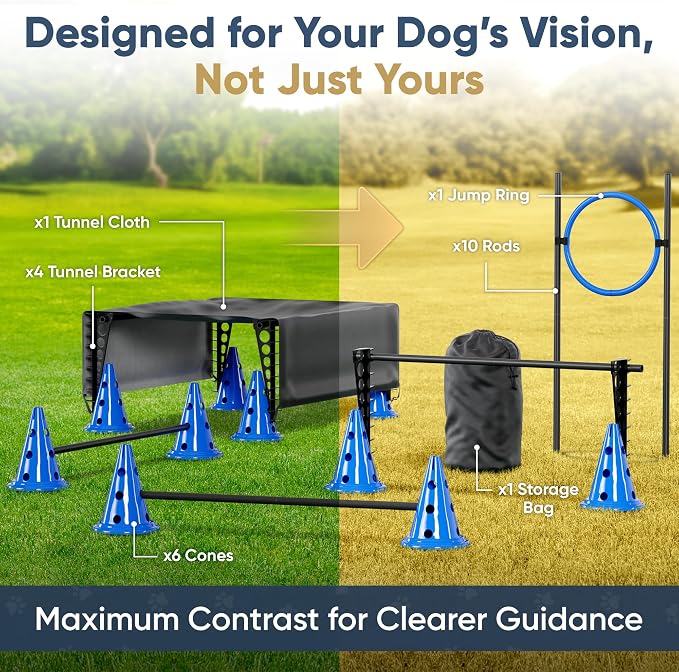 Dog Agility Course Backyard Set Complete Dog Agility Equipment - Image 2