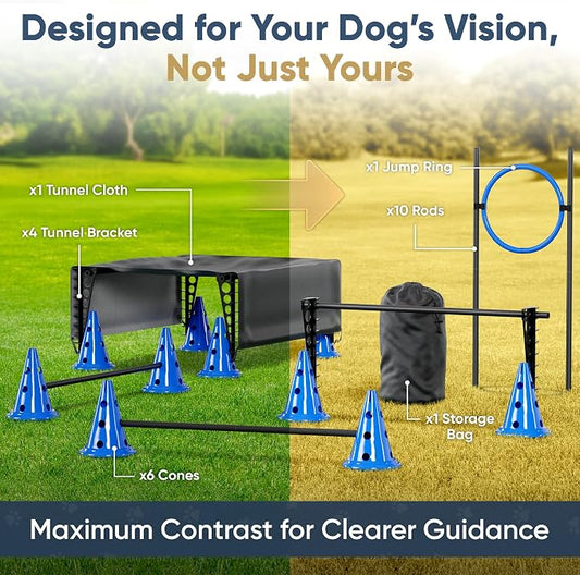 Dog Agility Course Backyard Set Complete Dog Agility Equipment - Image 2