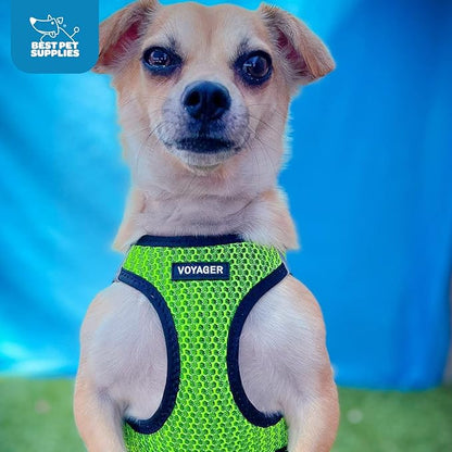 Best Pet Supplies Voyager Step-in Air Harness - Image 9