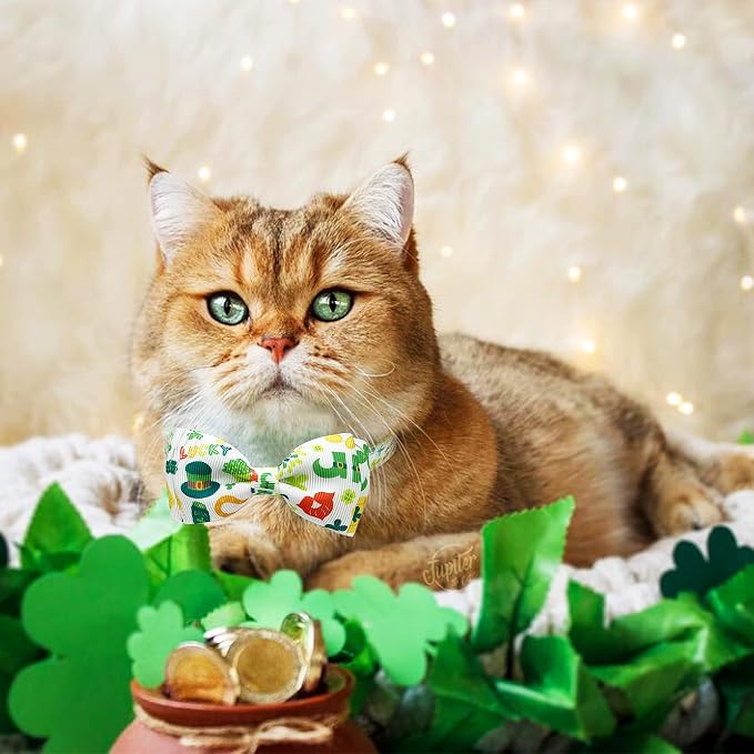 2 Pack St. Patrick Day Cat Collar - Image 7