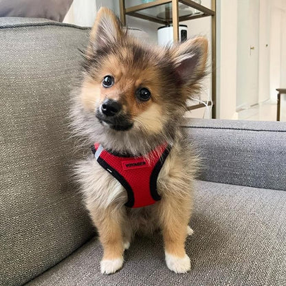 Best Pet Supplies Voyager Step-in Air Harness - Image 7