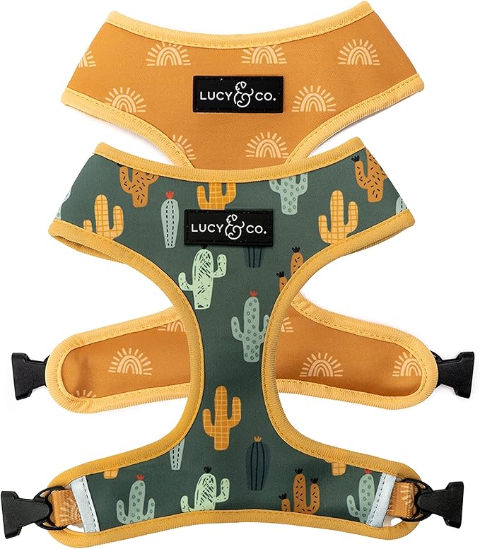 Lucy & Co. Looking Sharp, Cute Reversible Dog Harness Walking Halter by LucyCo