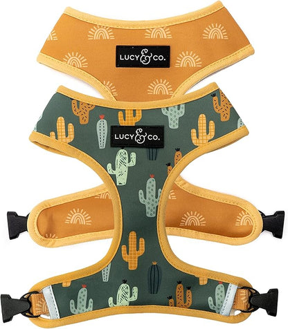 Lucy & Co. Looking Sharp, Cute Reversible Dog Harness Walking Halter by LucyCo