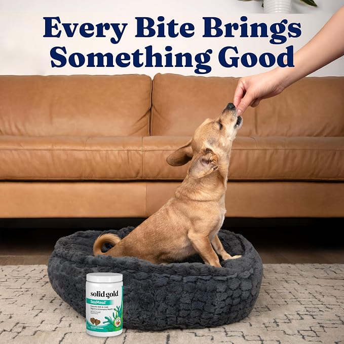 Solid Gold Cat & Dog Multivitamin Chews - Image 5